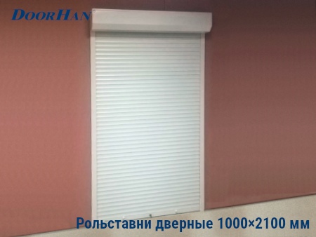 Рольставни на двери 1000×2100 мм в Кемеровской области от 31250 руб.