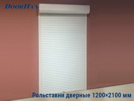 Рольставни на двери 1200×2100 мм в Кемеровской области от 34422 руб.